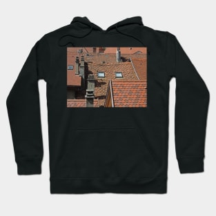 Roof Abstract Hoodie